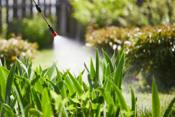 24/7 Emergency Wasp Removal experts in Mahnomen, MN