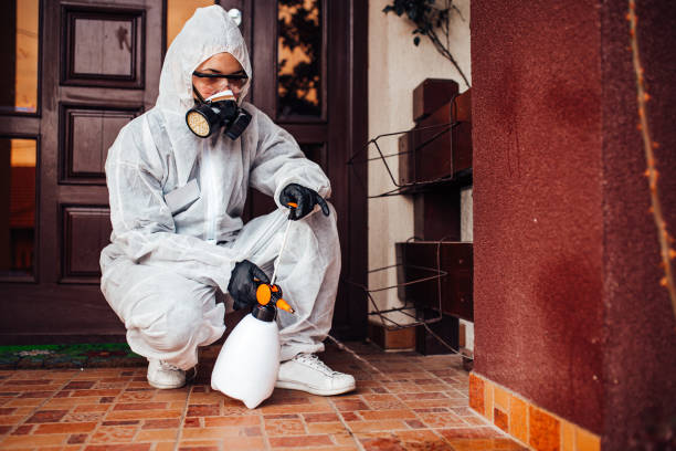 Reliable Wasp Removal contractor in Mahnomen, MN by Show Me Pest Control
